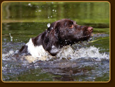 wassertraining