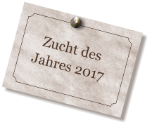 Zucht des Jahres 2017