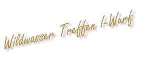 Wildwasser Treffen I-Wurf