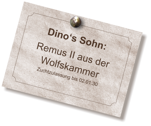 Dino‘s Sohn:  Remus II aus der Wolfskammer Zuchtzulassung bis 02.01.30